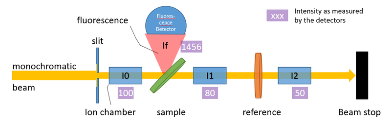 BioXAS-Spectroscopy - XAS Theory